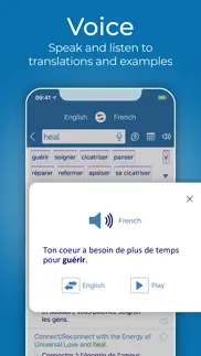 reverso translate and learn iphone images 3