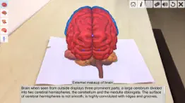 ar human brain iphone images 4