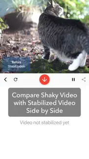 deshake video - stabilization iphone resimleri 2