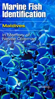 marine fish maldives iphone images 1