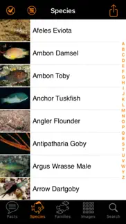 marine fish great barrier reef iphone images 3