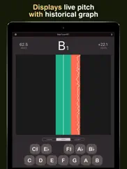 bass tuner bt1 pro ipad images 4