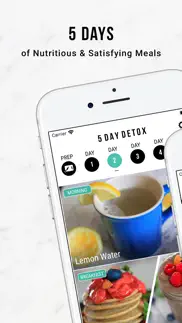 5 day detox by nikki sharp iphone images 2