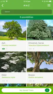 british tree identification iphone images 3