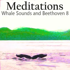 meditations whales beethoven 8 logo, reviews