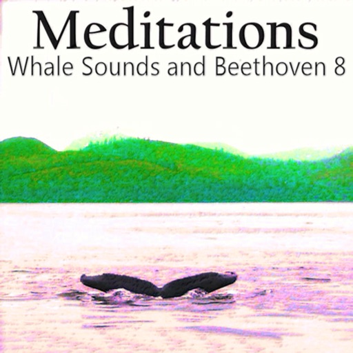 Meditations Whales Beethoven 8 app reviews download