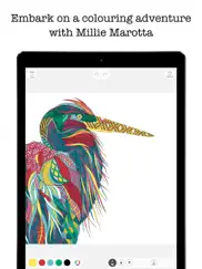 colouring adventures iPad Captures Décran 1