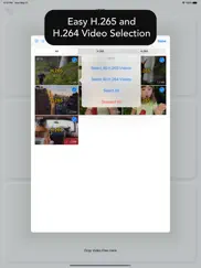 hevc - convert h.265 and h.264 ipad images 2