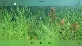 aquarium videos iPhone Captures Décran 1