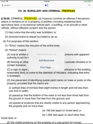 tx penal code 2022 - texas law ipad images 4