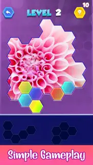 jigsaw hexa puzzle art iphone images 4