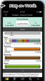 budgets pro - expense tracker iphone images 4