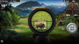 wild boar target shooting iphone images 1