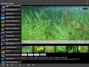 aquarium videos iPad Captures Décran 2