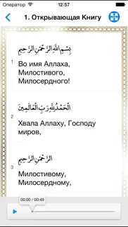 Коран с переводом смыслов iphone resimleri 3
