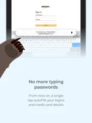 remembear: password manager ipad images 3