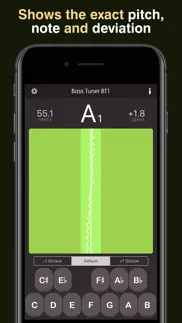 bass tuner bt1 iphone images 2