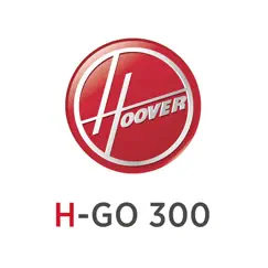 h-go300 revisión, comentarios