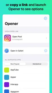 opener ‒ open links in apps iphone images 3