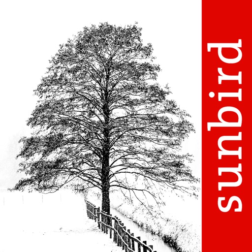 Winter Tree Id - British Isles app reviews download