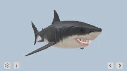 megalodon iphone images 2