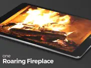ultimate fireplace pro ipad images 2