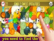 find the hidden object ipad images 1