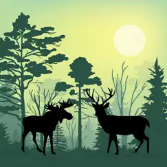forest animals simulator logo, reviews