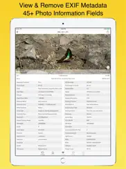 exif viewer lite by fluntro ipad images 4