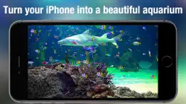 aquarium live - real fish tank iphone images 1