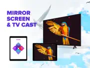 screen mirroring - tv cast ipad images 1