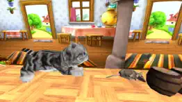 kitten cat vs rat runner game iphone images 2