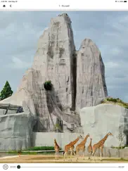 parc zoologique de paris iPad Captures Décran 4