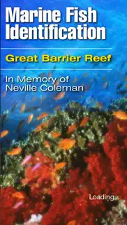 marine fish great barrier reef iphone images 1