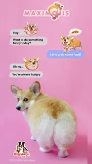 maximojis - corgi dog stickers iphone images 1