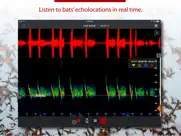 echo meter touch bat detector ipad images 2