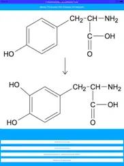 catecholamines synthesis tutor ipad images 3