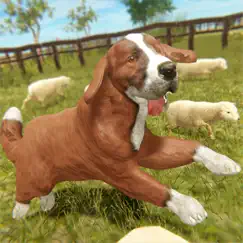 silly sheep run- farm dog game logo, reviews