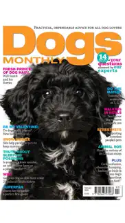 dogs monthly magazine iphone images 2