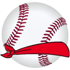 blindfold home run derby logo, reviews