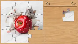 animal puzzle game for kids 3+ iphone resimleri 3