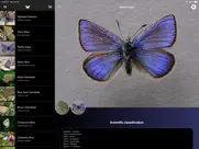 butterflies 2.0 ipad images 4