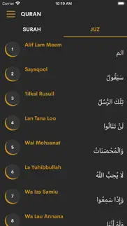 quran with hindi translation iphone images 4