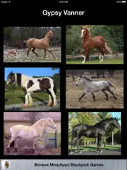 3strike horses ipad images 1