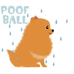 pomeranian dog pom pom sticker logo, reviews