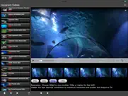 aquarium videos iPad Captures Décran 3