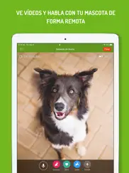 monitor de perro ipad capturas de pantalla 3