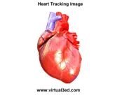 ar human heart – a glimpse ipad images 2