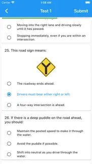 us car theory test iphone images 2