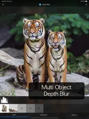 depth blur - manual portrait iPad Captures Décran 4